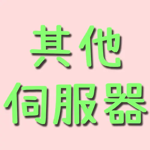 其他伺服器